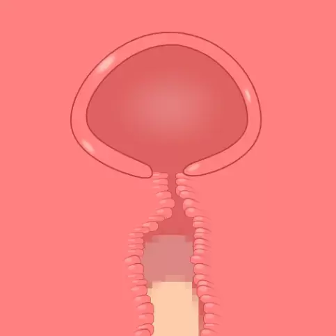 断面図アニメーションメーカー