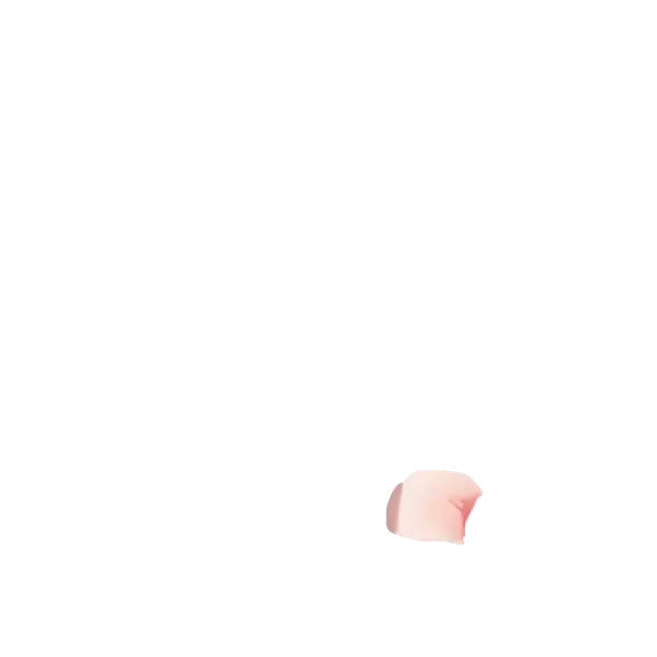 パーツ分け3