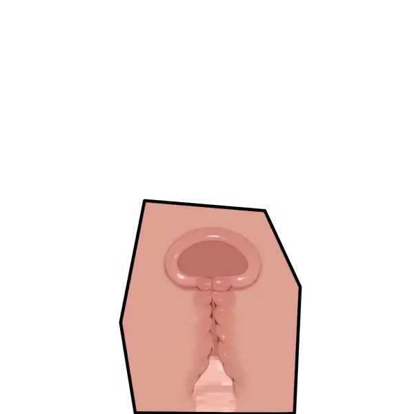 断面図