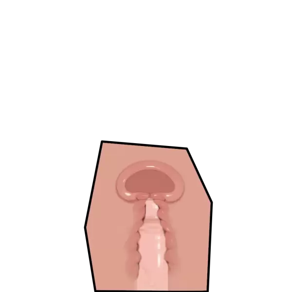断面図